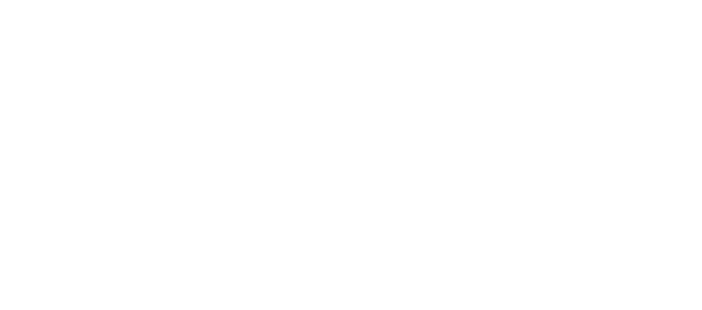 Diesel Pro Power